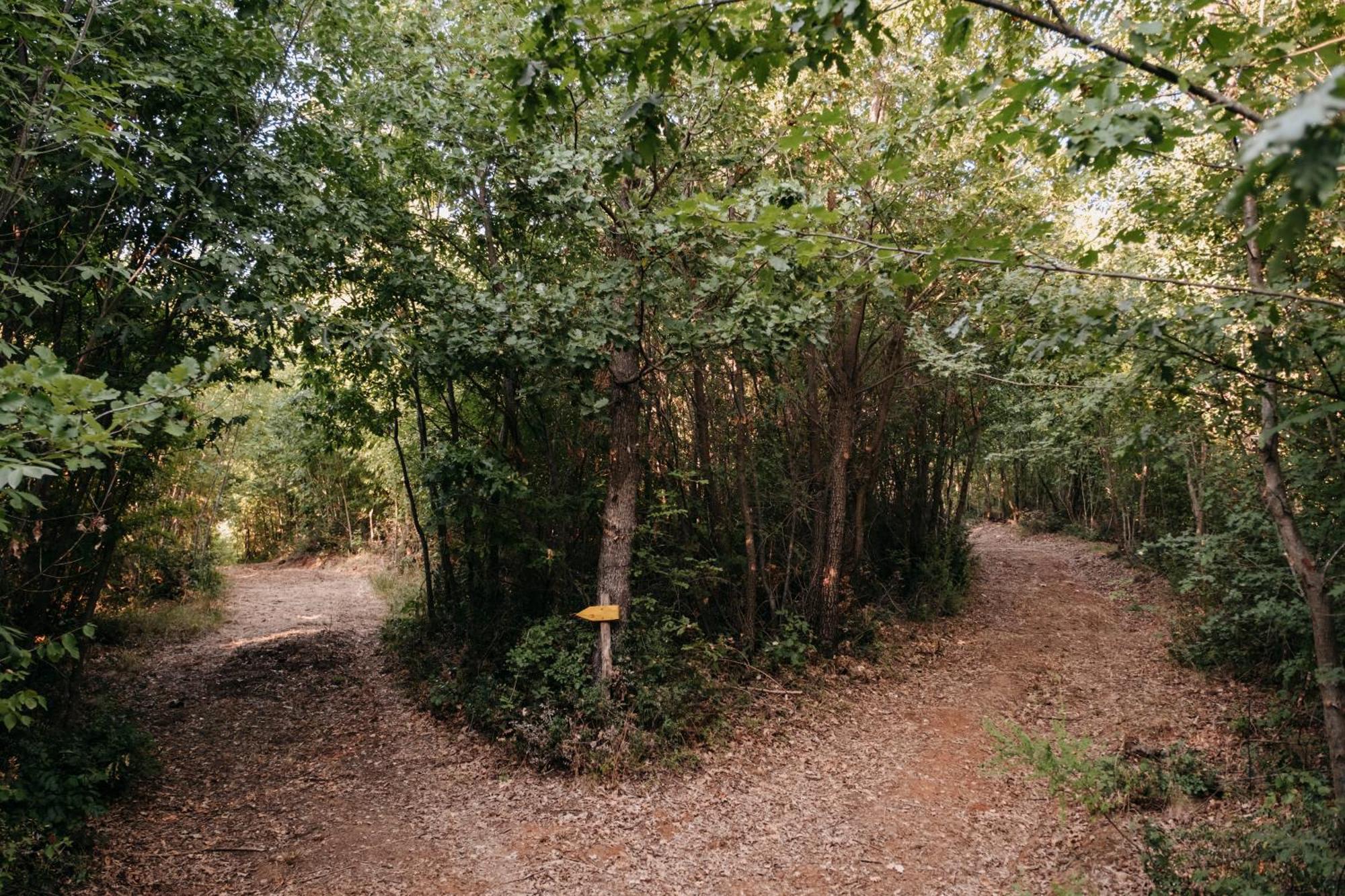 Poggio Al Vento Villa Manciano Buitenkant foto